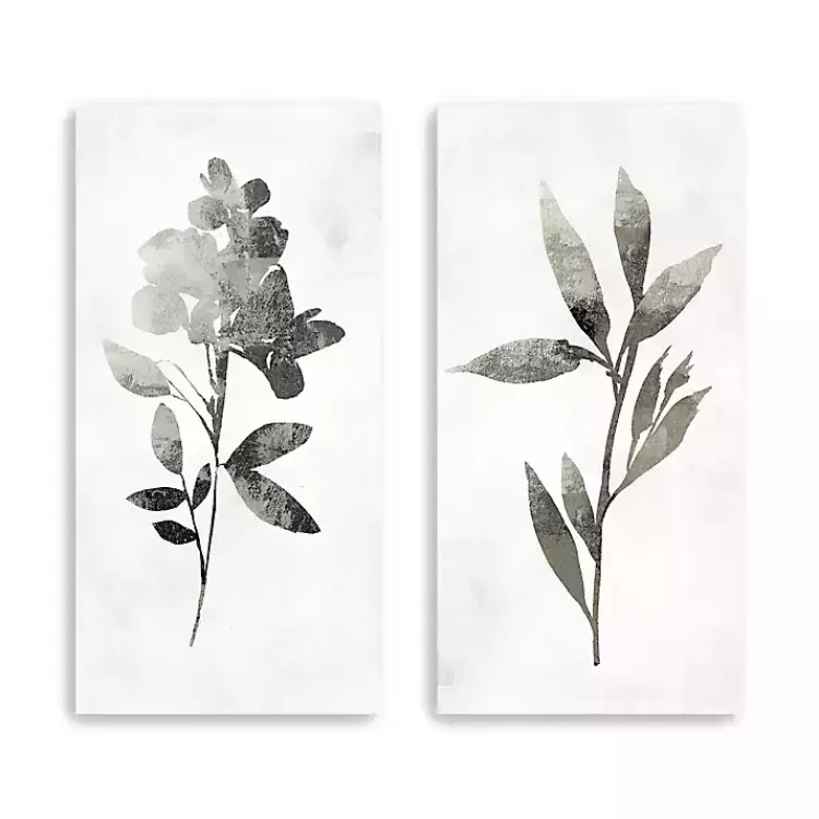 A Shadow of a Flower 2-pc. Canvas Art Set>Kirklands Home Sale