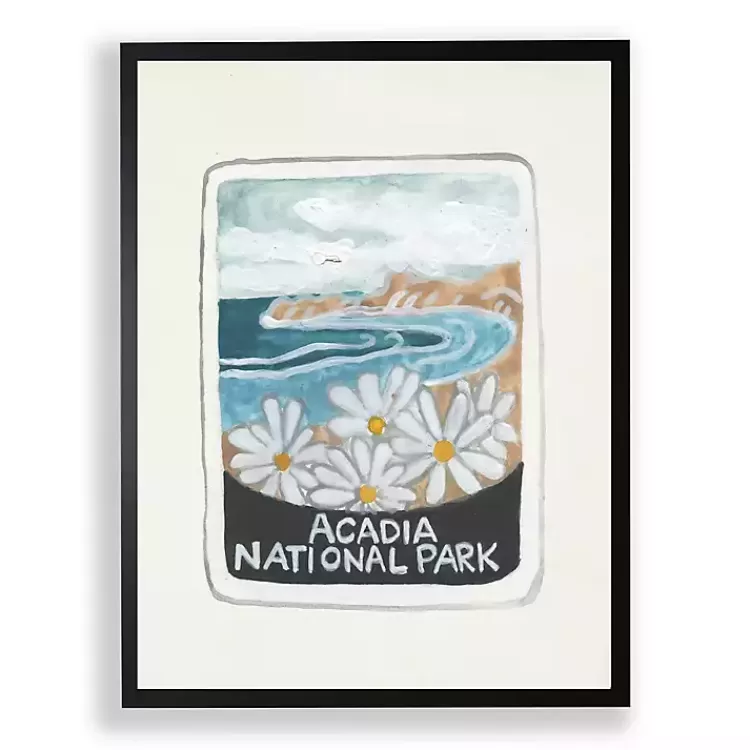 Acadia National Park Framed Art Print>Kirklands Home Discount