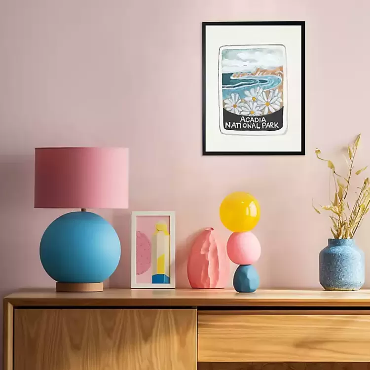 Acadia National Park Framed Art Print>Kirklands Home Discount