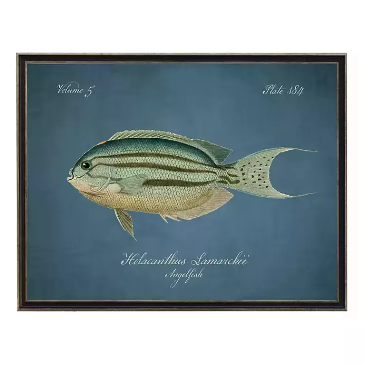 Angelfish Framed Wall Art>Kirklands Home Flash Sale