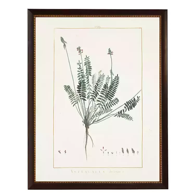 Astragalus Greenery Black Beaded Framed Art Print>Kirklands Home Store