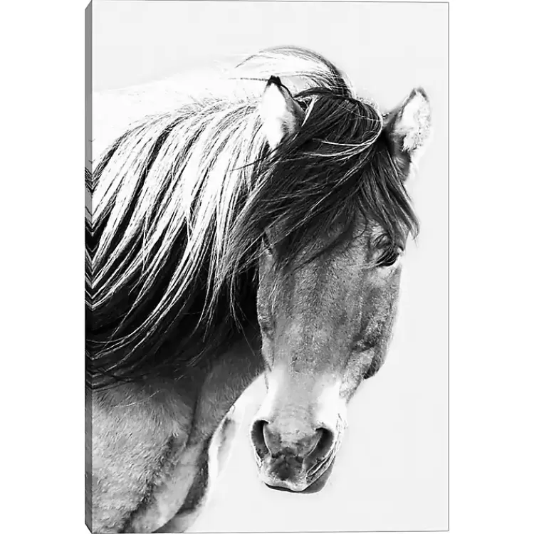 At First Glance Canvas Art Print>Kirklands Home Online