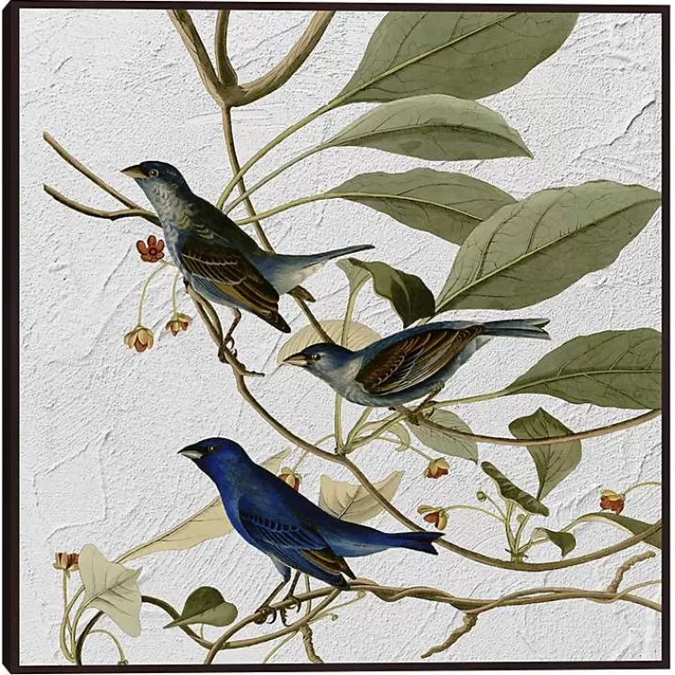 Audubon Indigo Bird Framed Canvas Art Print>Kirklands Home Cheap