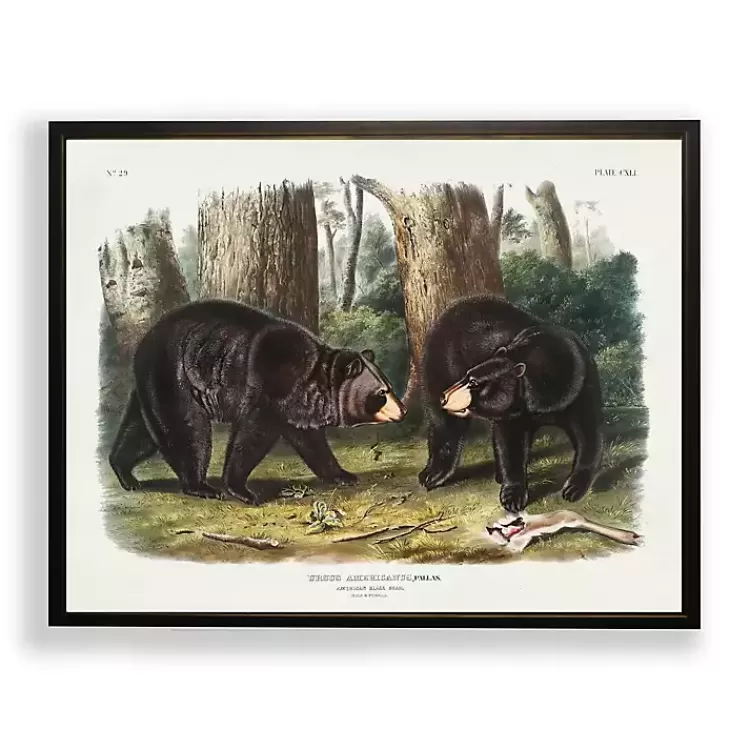Audubon Woodland Bears Framed Art Print>Kirklands Home Outlet