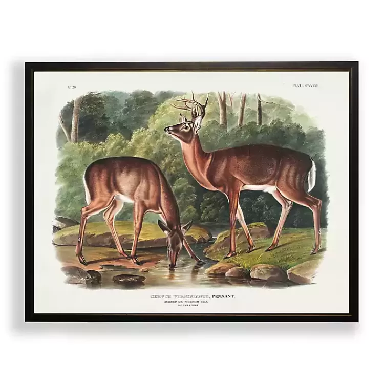 Audubon Woodland Deer Framed Art Print>Kirklands Home Outlet