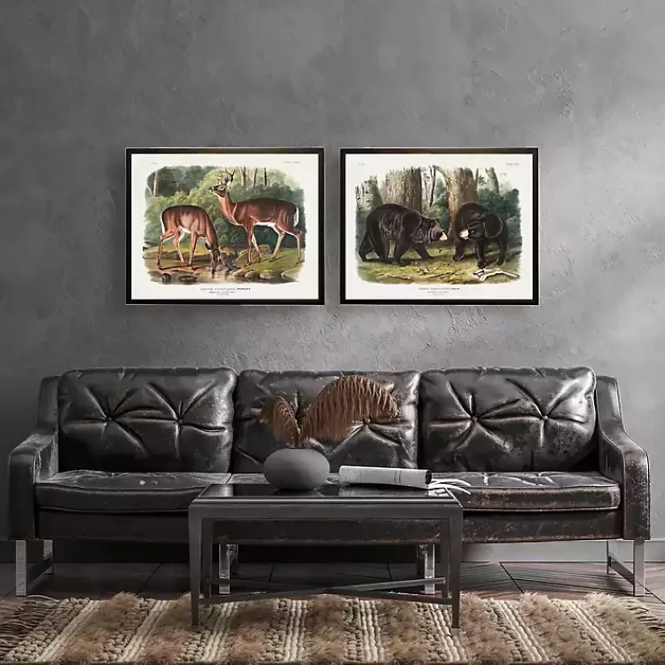 Audubon Woodland Deer Framed Art Print>Kirklands Home Outlet