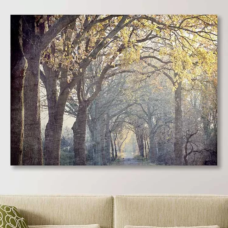 Avenue Of Trees Canvas Art Print>Kirklands Home Sale