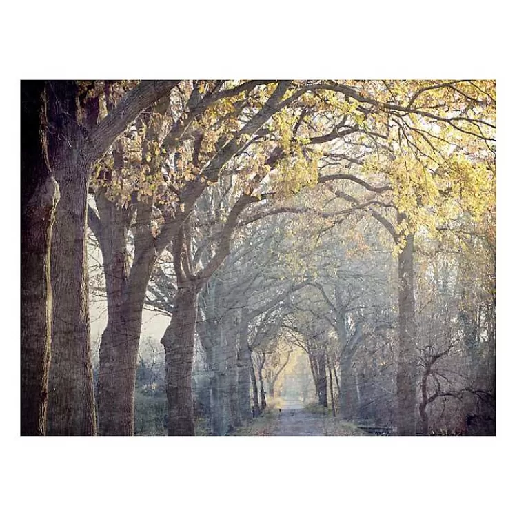 Avenue Of Trees Canvas Art Print>Kirklands Home Sale