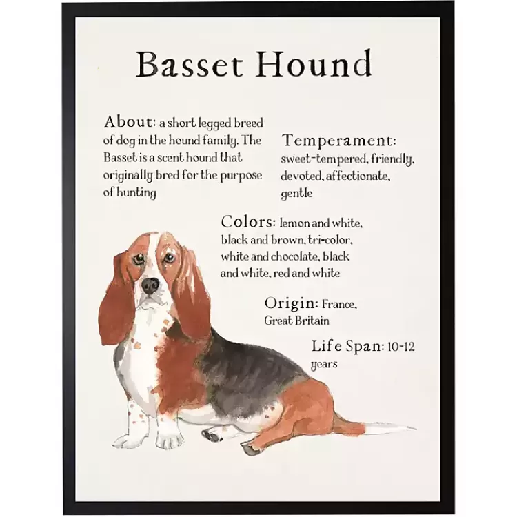 Basset Hound Facts Framed Wall Plaque>Kirklands Home Fashion