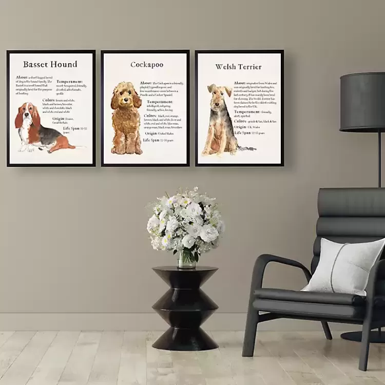 Basset Hound Facts Framed Wall Plaque>Kirklands Home Fashion