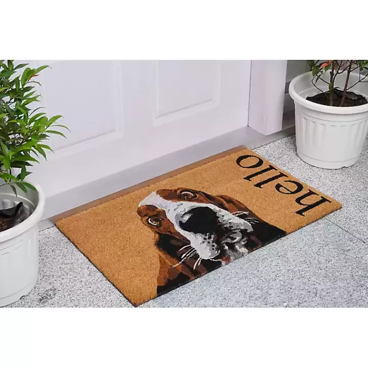 Basset Hound Hello Doormat>Kirklands Home Cheap