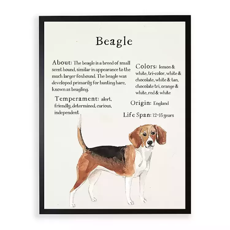 Beagle Facts Framed Wall Plaque>Kirklands Home New