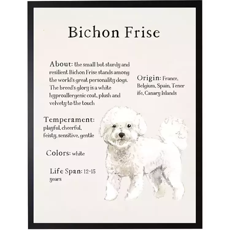 Bichon Frise Facts Framed Wall Plaque>Kirklands Home Hot