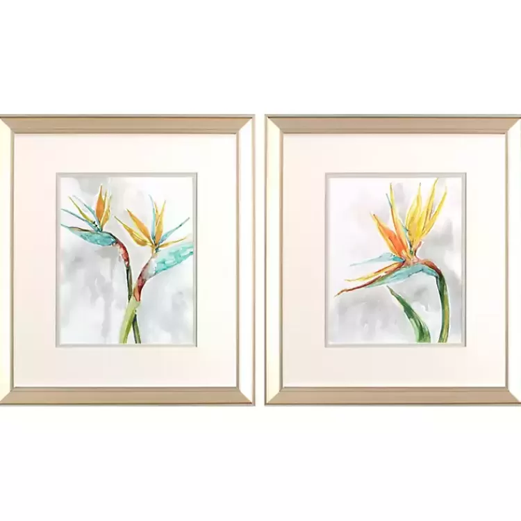 Bird of Paradise Framed Art Prints, Set of 2>Kirklands Home Clearance