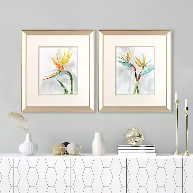Bird of Paradise Framed Art Prints, Set of 2>Kirklands Home Clearance
