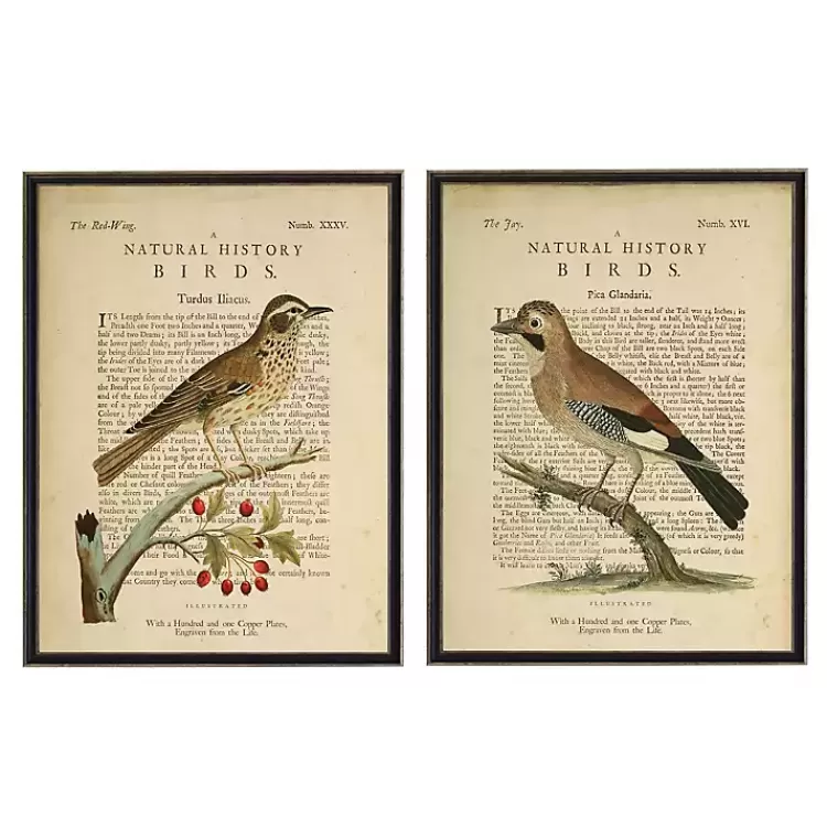 Birds Diagram I Framed Art Prints, Set of 2>Kirklands Home Online