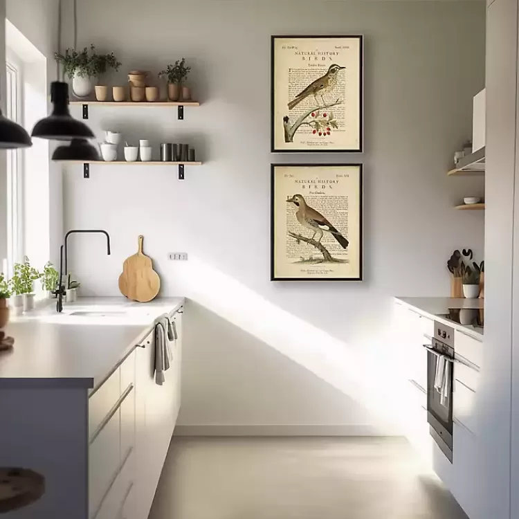 Birds Diagram I Framed Art Prints, Set of 2>Kirklands Home Online