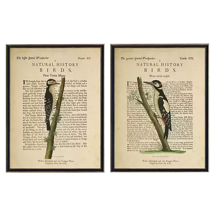 Birds Diagram II Framed Art Prints, Set of 2>Kirklands Home New