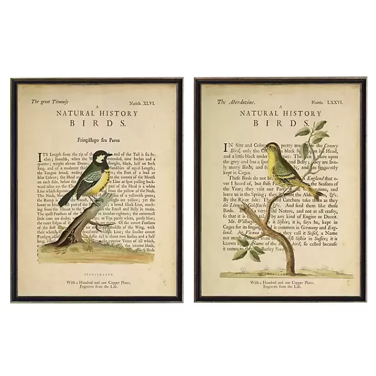 Birds Diagram III Framed Art Prints, Set of 2>Kirklands Home Cheap