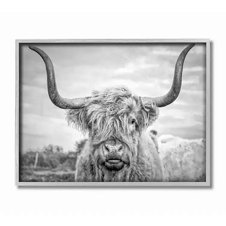 Black and White Framed Highland Cow Photograph>Kirklands Home Cheap