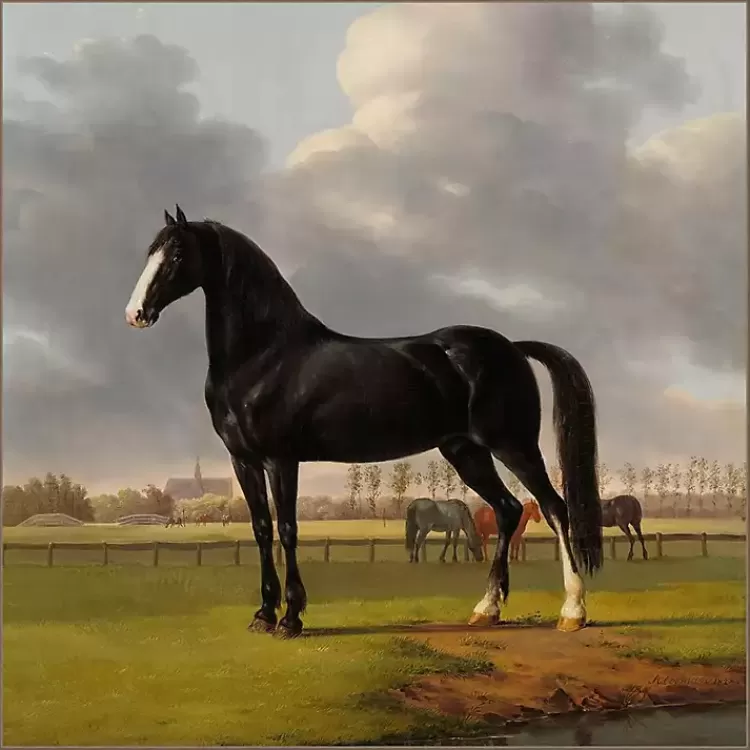 Black and White Horse Framed Canvas Art Print>Kirklands Home Shop