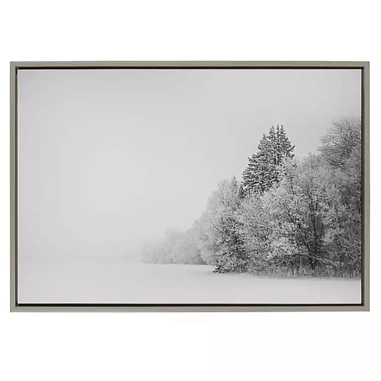 Black and White Snow Day Framed Canvas Art Print>Kirklands Home New