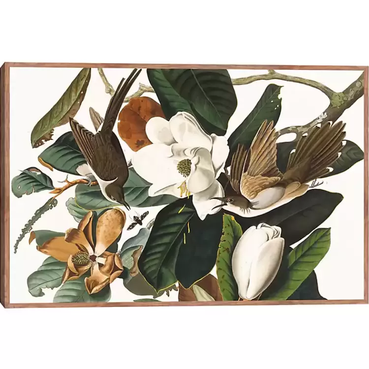 Black Billed Cuckoo Framed Canvas Art Print>Kirklands Home New