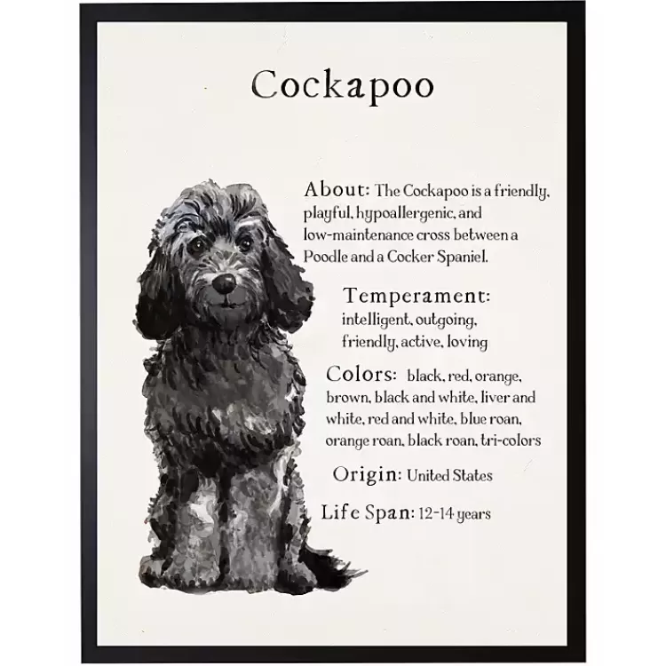 Black Cockapoo Facts Framed Wall Plaque>Kirklands Home Online