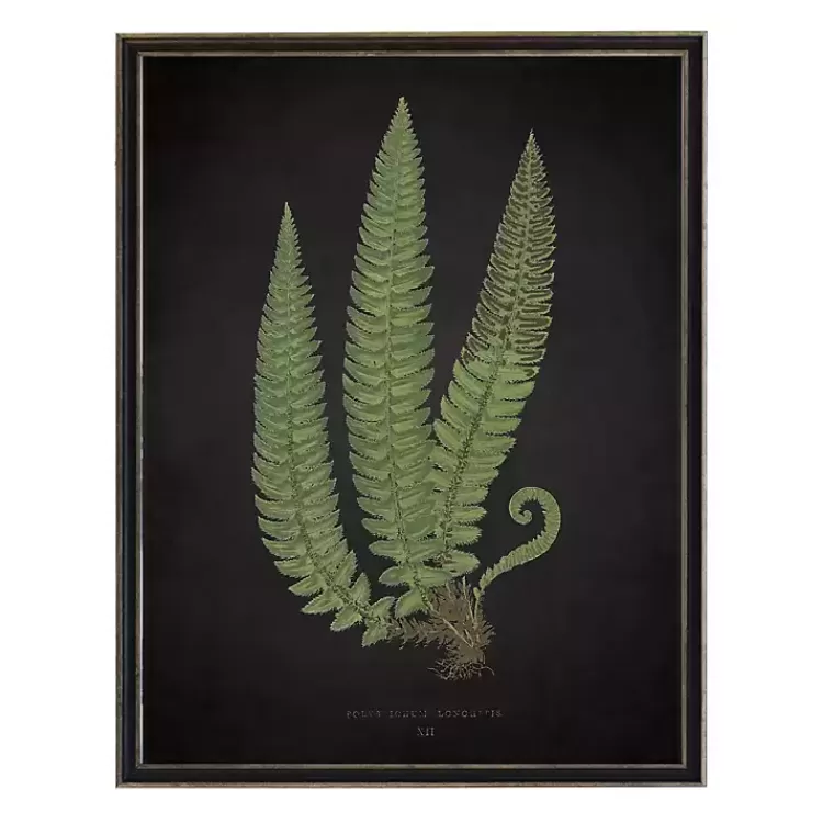 Black Fern I Framed Art Print>Kirklands Home Store