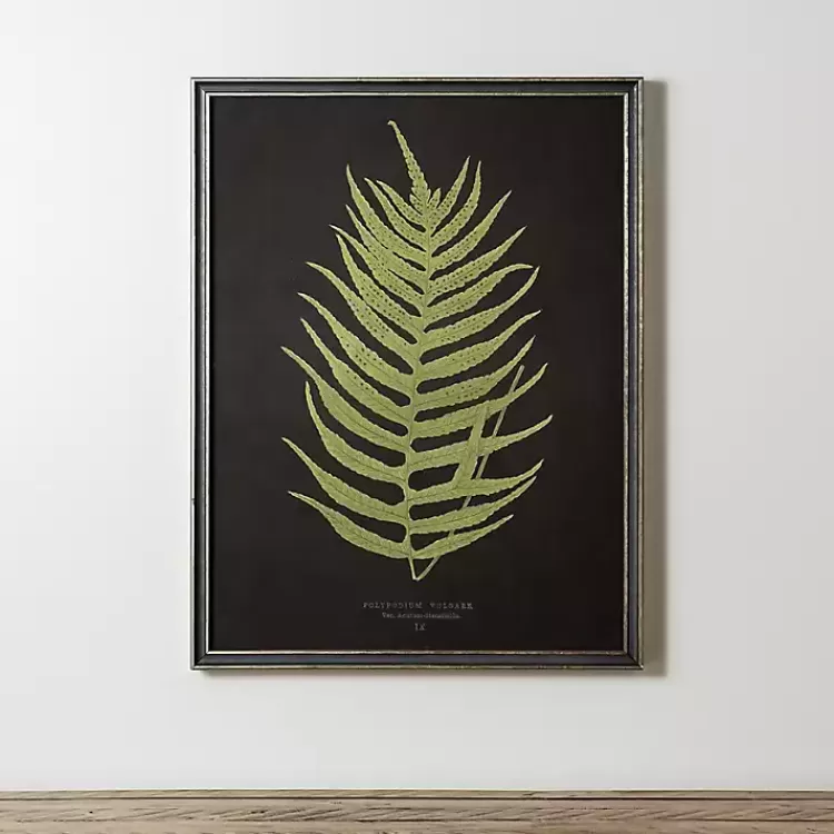 Black Fern II Framed Art Print>Kirklands Home Best Sale