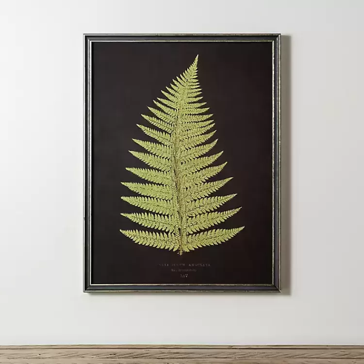 Black Fern IV Framed Art Print>Kirklands Home Store
