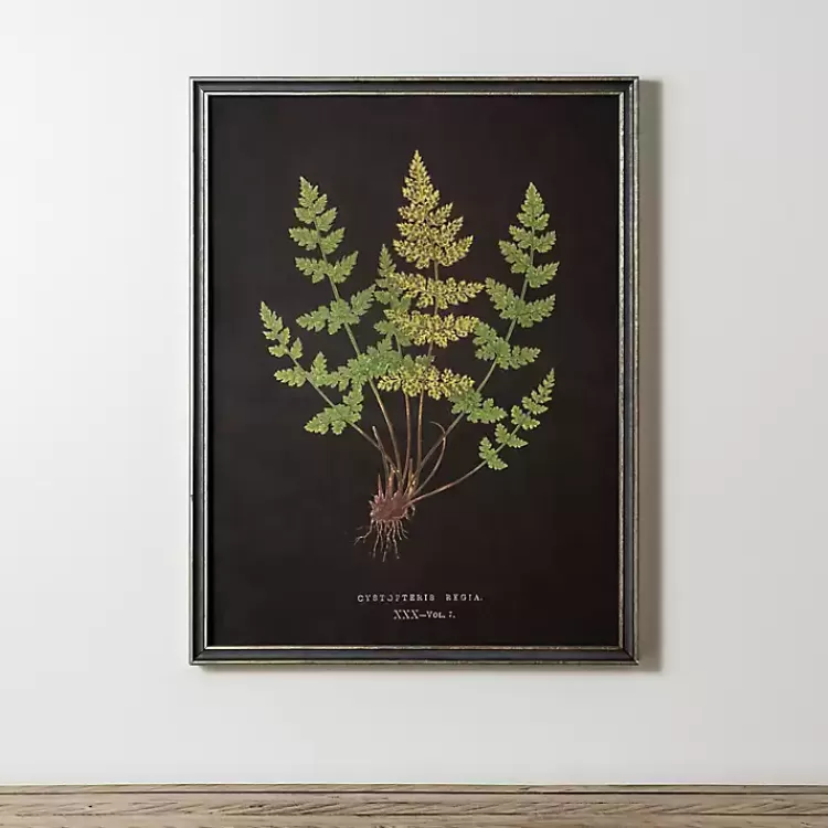 Black Fern V Framed Art Print>Kirklands Home Flash Sale