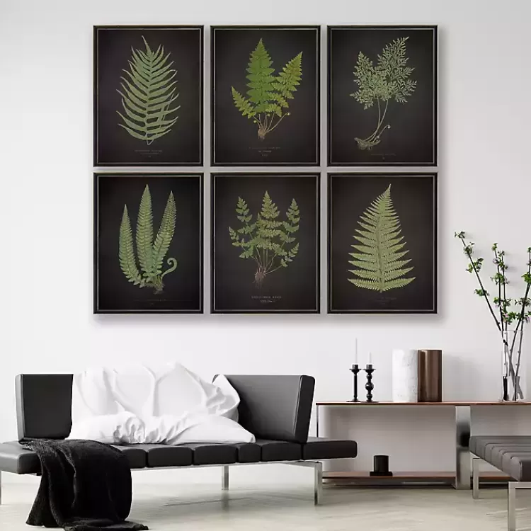 Black Fern V Framed Art Print>Kirklands Home Flash Sale