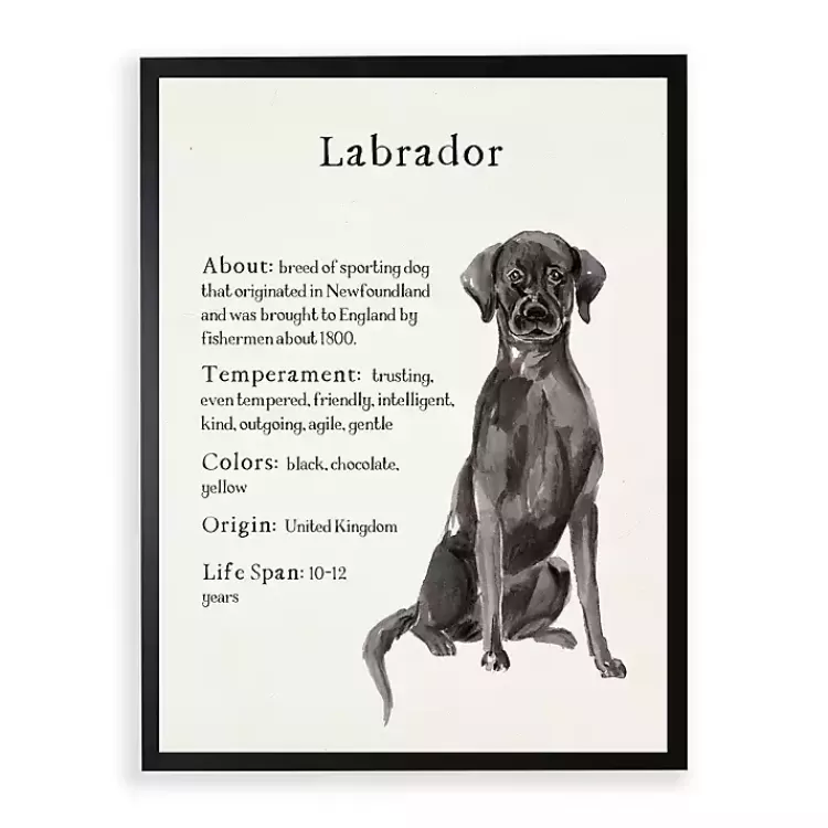 Black Lab Facts Framed Wall Plaque>Kirklands Home Cheap