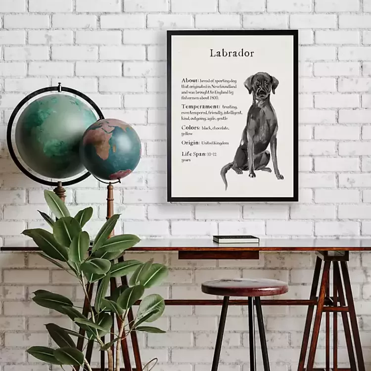 Black Lab Facts Framed Wall Plaque>Kirklands Home Cheap