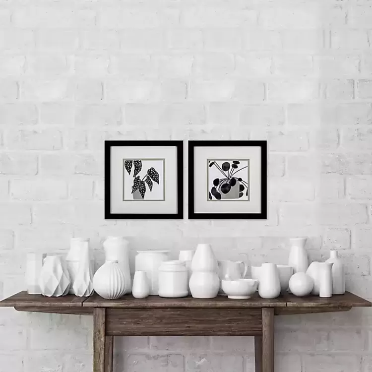 Black Plantling II Framed Art Prints, Set of 2>Kirklands Home Store