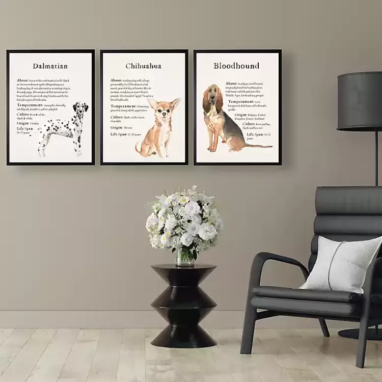 Bloodhound Facts Framed Wall Plaque>Kirklands Home Hot