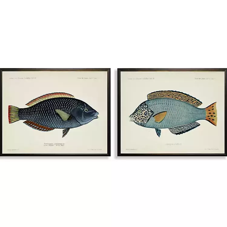 Blue Fish Framed Art Prints, Set of 2>Kirklands Home Best Sale