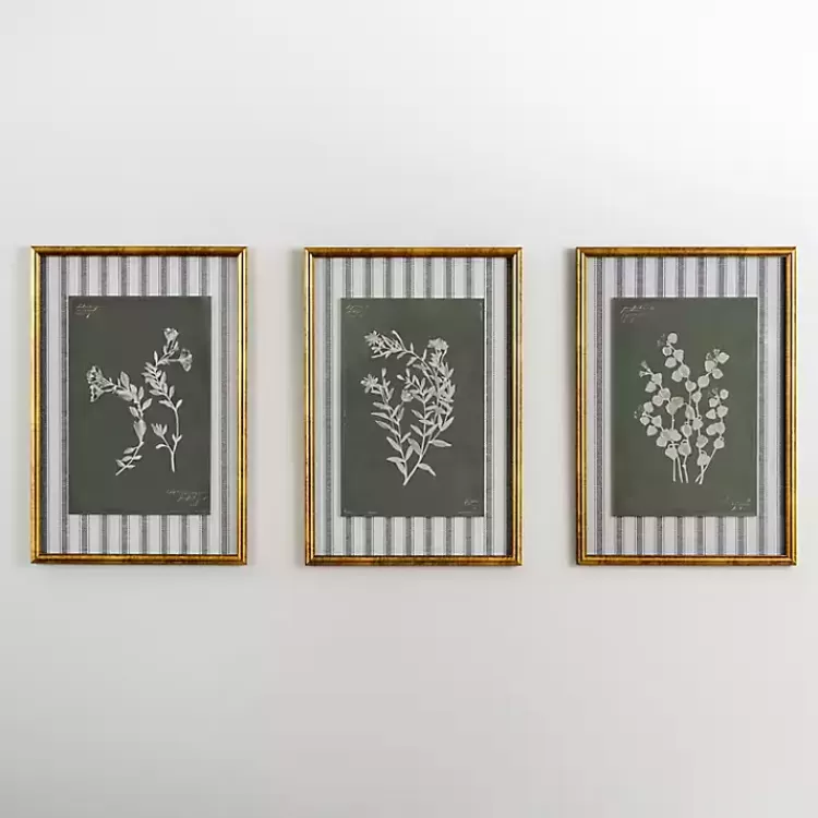 Botanical Stripes I Framed Art Print>Kirklands Home Flash Sale