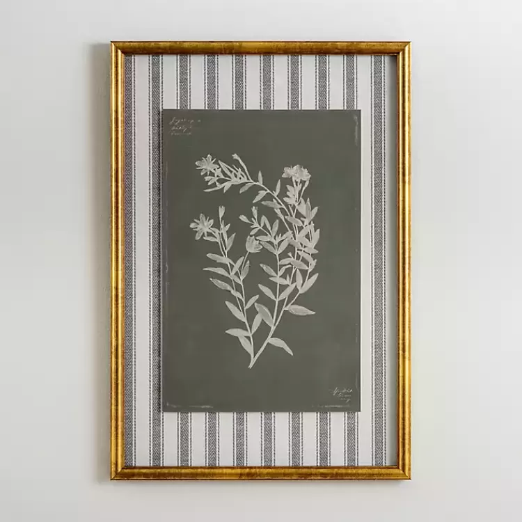 Botanical Stripes II Framed Art Print>Kirklands Home Sale