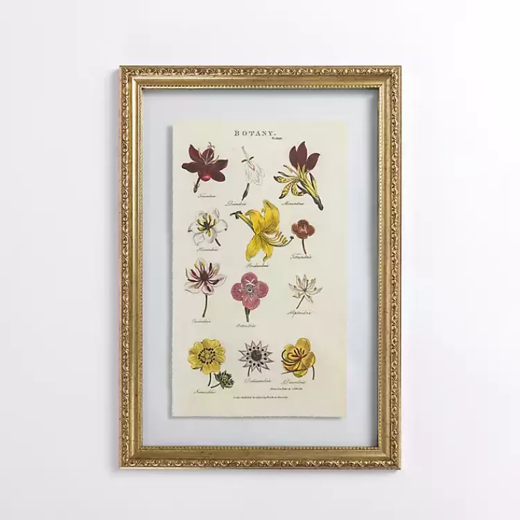 Botany Gold Framed Art Print>Kirklands Home Online