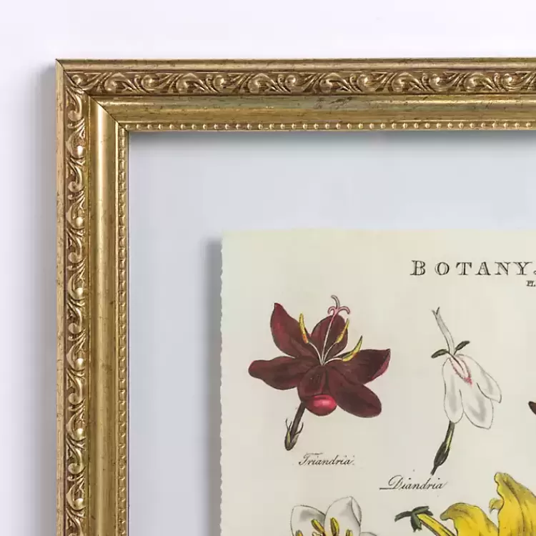 Botany Gold Framed Art Print>Kirklands Home Online