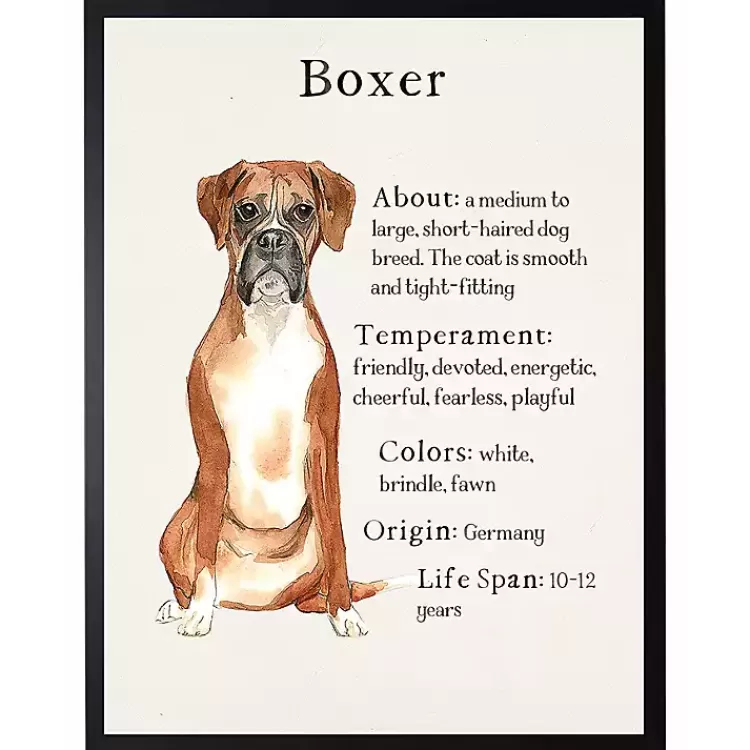 Boxer Facts Framed Wall Plaque>Kirklands Home Best Sale
