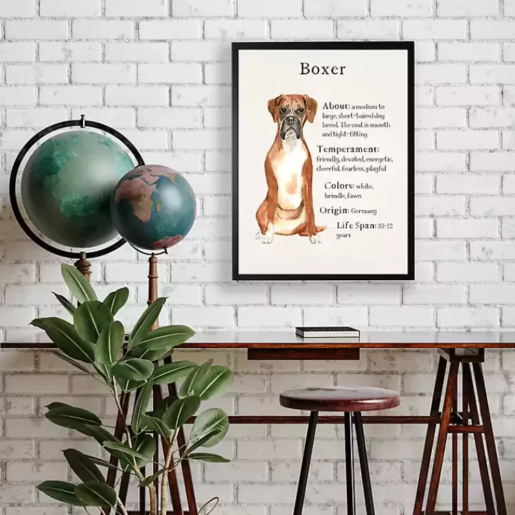 Boxer Facts Framed Wall Plaque>Kirklands Home Best Sale