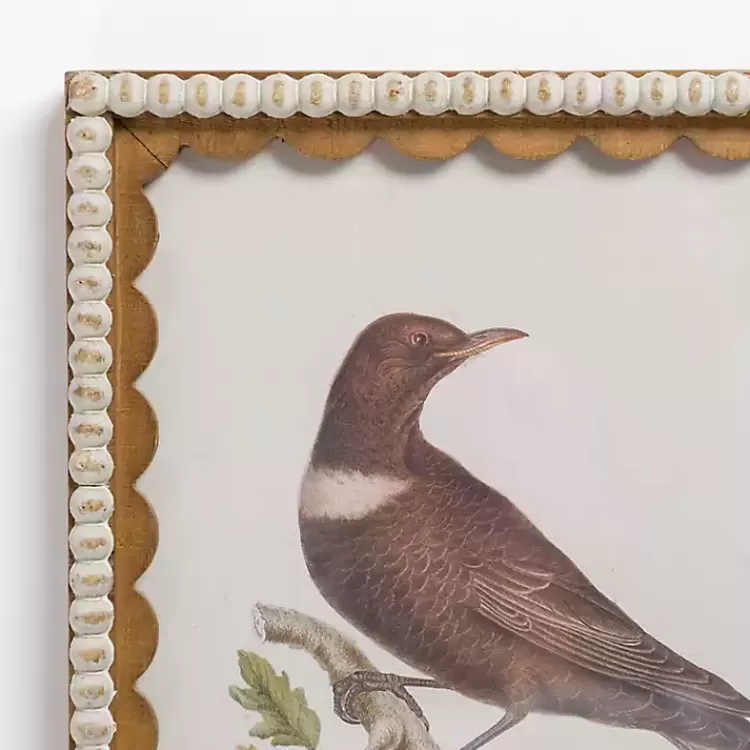 Brown Birds Scalloped Framed Art Print>Kirklands Home Best Sale