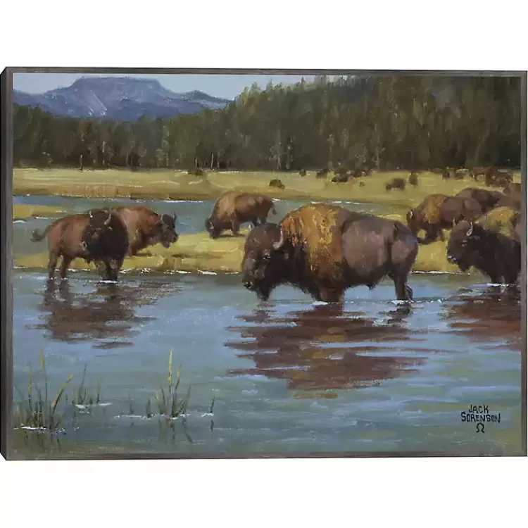 Buffalo Crossing Framed Canvas Art Print>Kirklands Home New