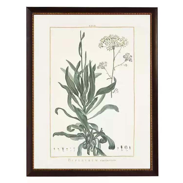 Bupleurum Greenery Black Beaded Framed Art Print>Kirklands Home Sale
