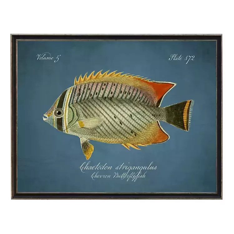 Chevron Butterflyfish Framed Wall Art>Kirklands Home Discount
