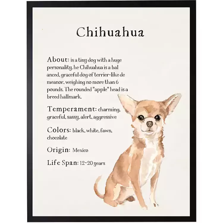 Chihuahua Facts Framed Wall Plaque>Kirklands Home Online
