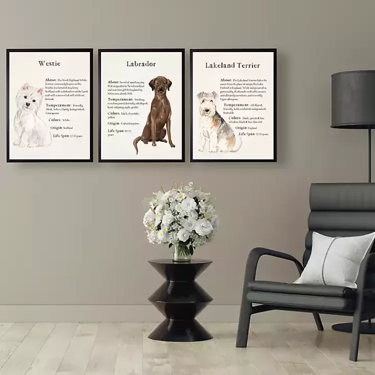 Chocolate Labrador Facts Framed Wall Plaque>Kirklands Home Outlet